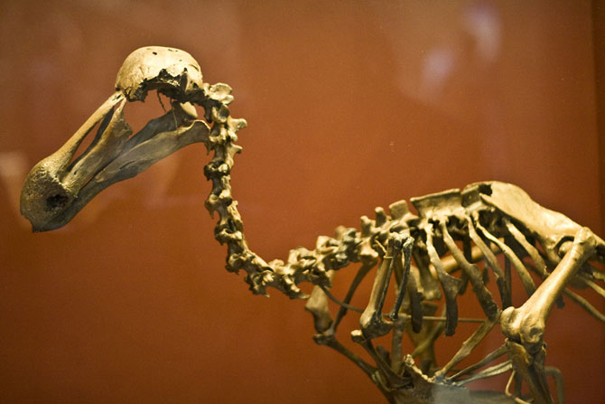 ������� ����� ���������� ������ �������