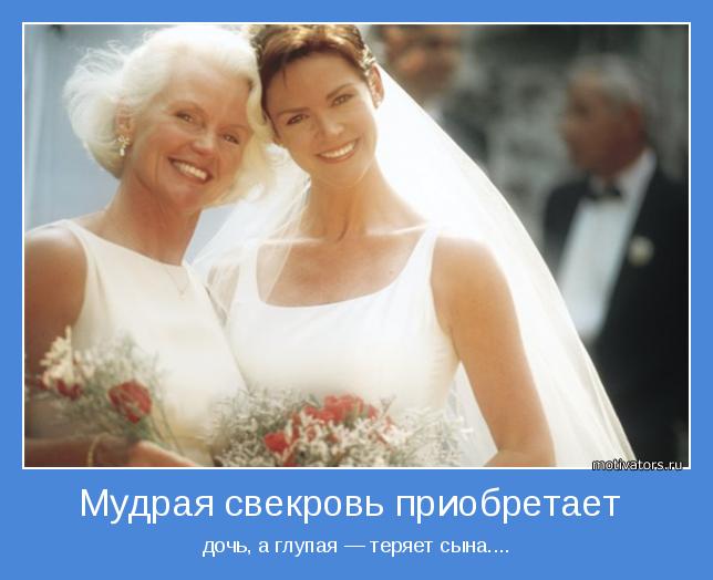дочь, а глупая — теряет сына.... дочь, а глупая — теряет сына....