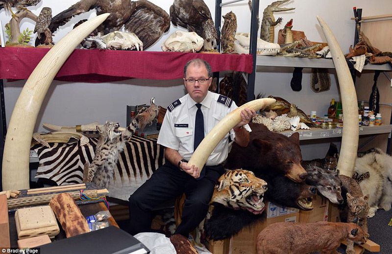 аэропорт, контрабанда, конфискация, Лондон, таможня