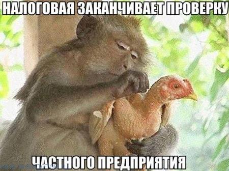 Итак…. в одном лесу Итак…. в одном лесу