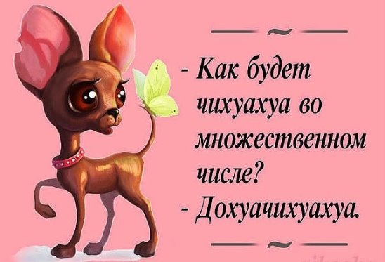 Мужик нашел на берегу моря бутылку, пнул ее, из бутылки вылетел джин... Мужик нашел на берегу моря бутылку, пнул ее, из бутылки вылетел джин...