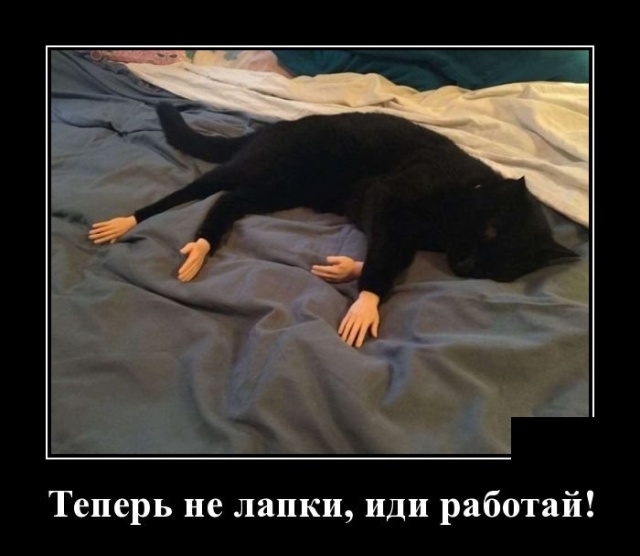 Демотиваторы Демотиваторы