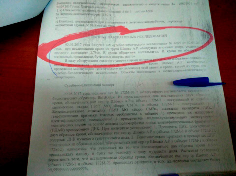 Дело «пьяного мальчика». Что произошло в Балашихе на самом деле? алкоголь, дети, дтп, обвинение