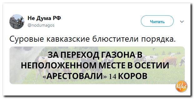 Обо всём понемногу с юмором и ехидными комментариями Обо всём понемногу с юмором и ехидными комментариями