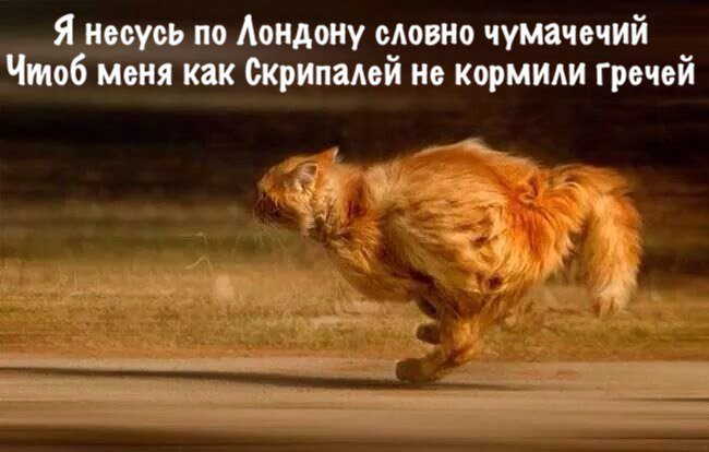 Обзор последних событий в саркастических скриншотах Обзор последних событий в саркастических скриншотах