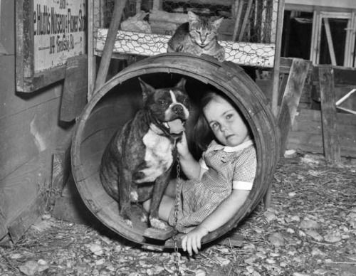 Интересные и редкие ретро-фотографии Интересные и редкие ретро-фотографии