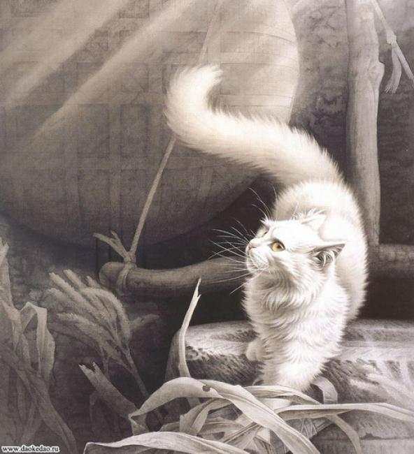 Кошки в традиционной китайской живописи гохуа -- необычно и очаровательно