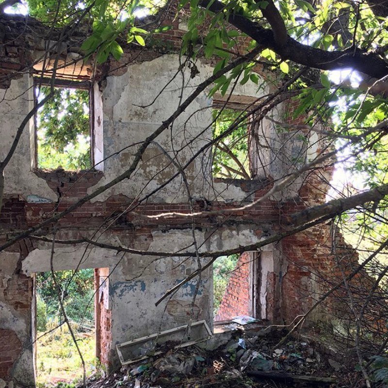 Заброшенные усадьбы России. Часть 2 (25 фото) Заброшенные усадьбы России. Часть 2 (25 фото)