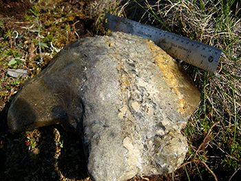 Permafrost chunk
