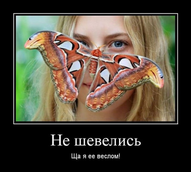 Демотиваторы Демотиваторы
