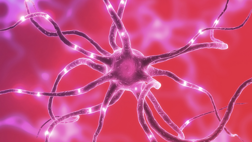 Не нравится горькое? Ученые нашли связь этого с болезнями почек и психики