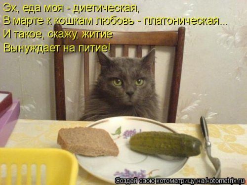 Самые уморительные котоматрицы) Самые уморительные котоматрицы)