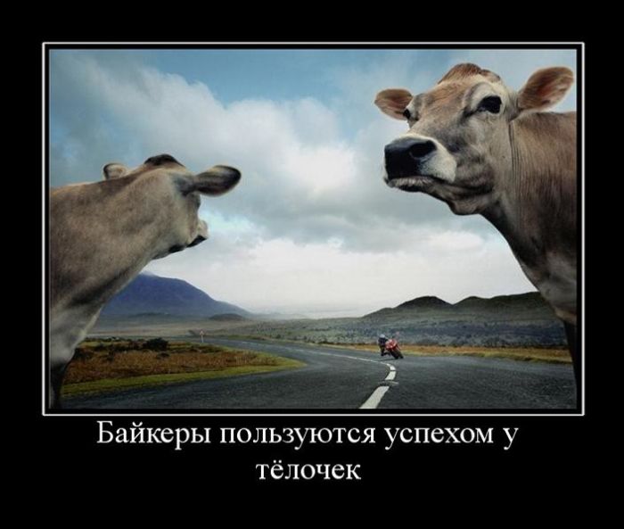 1475740803_29