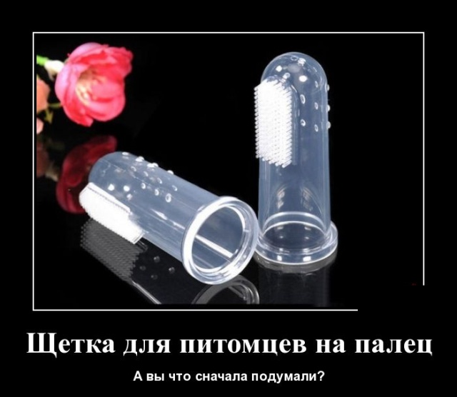 Демотиваторы смешные Демотиваторы смешные