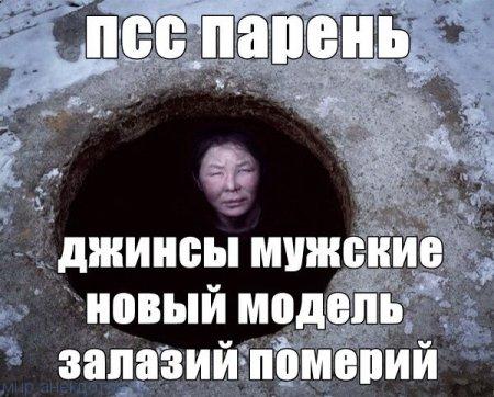 Итак…. в одном лесу Итак…. в одном лесу