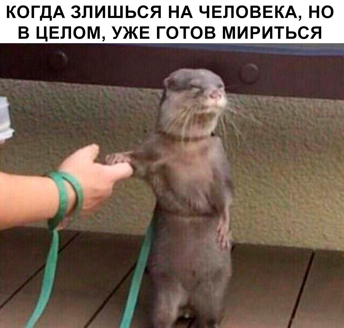 Юмор из интернета12