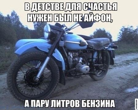 Итак…. в одном лесу Итак…. в одном лесу
