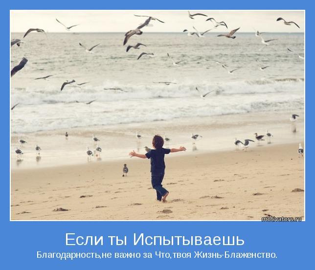 День благодарности цитаты День благодарности цитаты