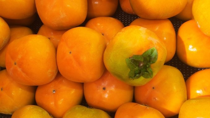 persimmon-1663185_960_720 alt