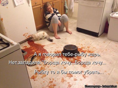 Самые уморительные котоматрицы) Самые уморительные котоматрицы)