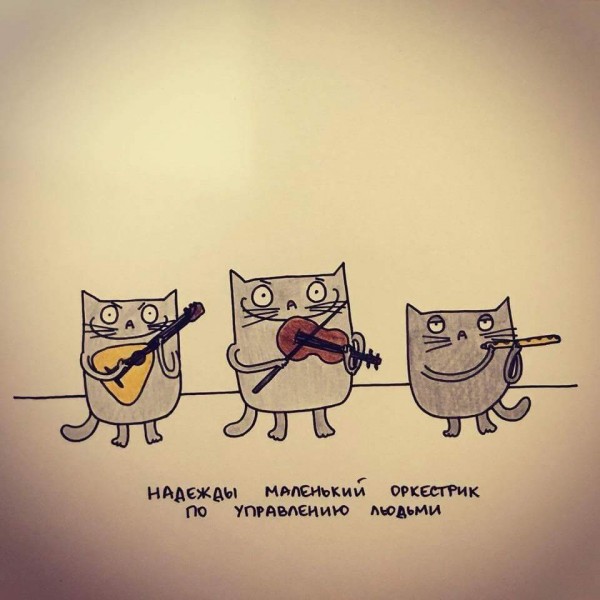 Немного котиков совсем не страшных )) Немного котиков совсем не страшных ))