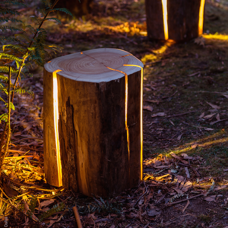 nature-inspired furniture duncan meerding cracked log lamps