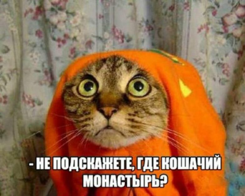 Демотиваторы, мно-о-о-ого, отличной подборочкой для зарядки позитивом на весь день! Демотиваторы, мно-о-о-ого, отличной подборочкой для зарядки позитивом на весь день!