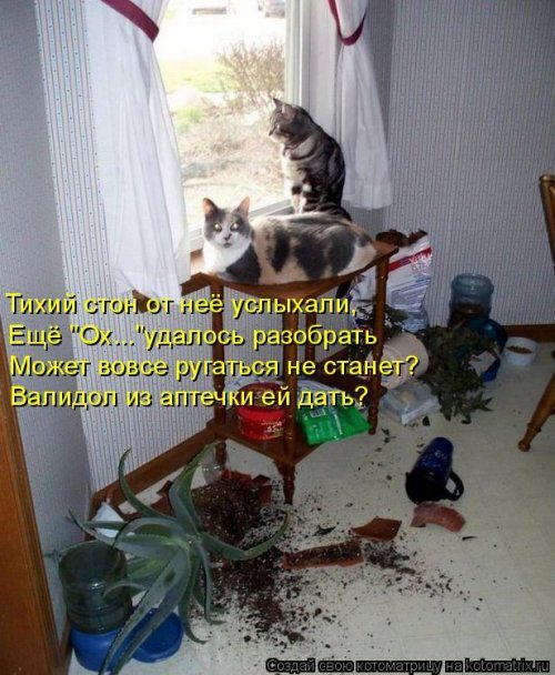 Самые уморительные котоматрицы) Самые уморительные котоматрицы)
