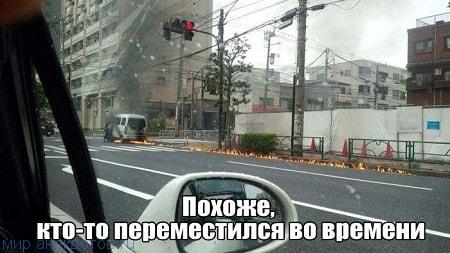 Итак…. в одном лесу Итак…. в одном лесу