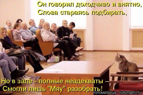 Самые уморительные котоматрицы) Самые уморительные котоматрицы)