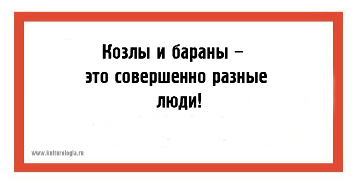 24 открытки с очень полезными жизненными наблюдениями на каждый день