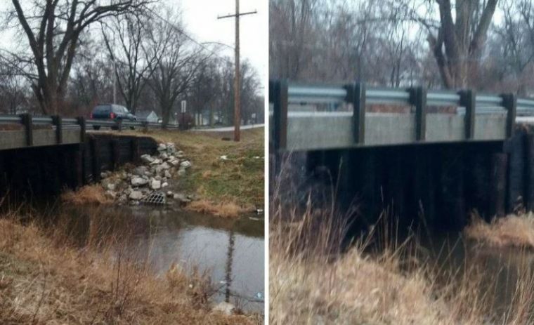 Брошенного под мостом щенка со скотчем на мордочке, совершенно случайно спас не равнодушный прохожий
