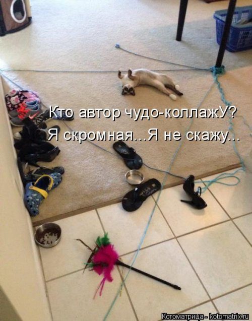 Самые уморительные котоматрицы) Самые уморительные котоматрицы)
