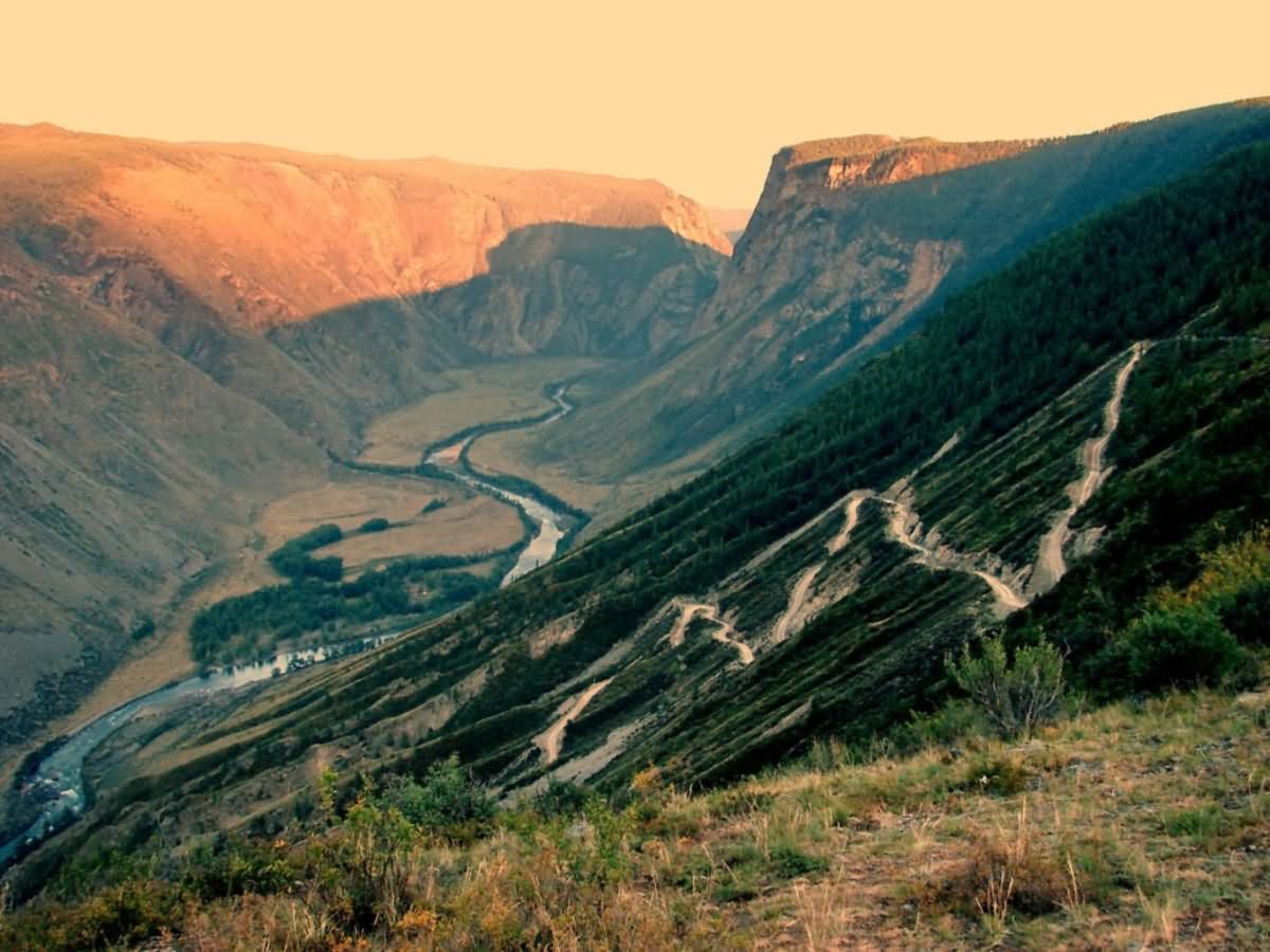 Клиническая смерть: «есть ли свет в конце туннеля»?