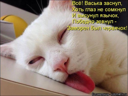 Самые уморительные котоматрицы) Самые уморительные котоматрицы)