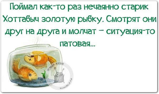 Прикольные фразочки в картинках