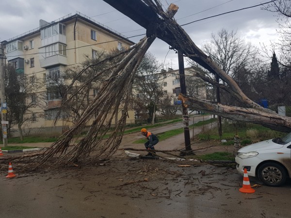 Спасатели пять раз боролись с ветром