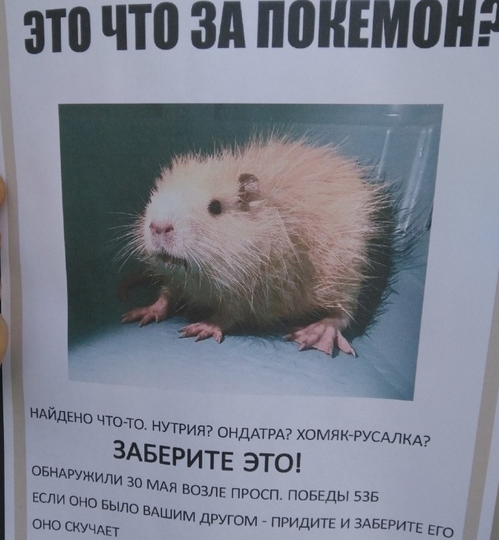 16 объявлений, содержание которых захватывает не хуже голливудского блокбастера 16 объявлений, содержание которых захватывает не хуже голливудского блокбастера