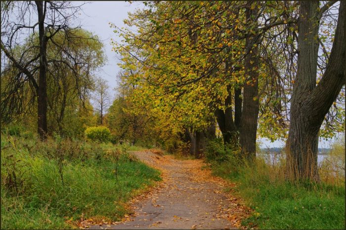 художник Алексей Грицай картины – 16