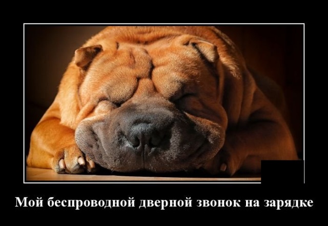 Демотиваторы Демотиваторы