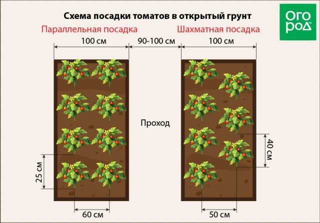 Посадка томатов