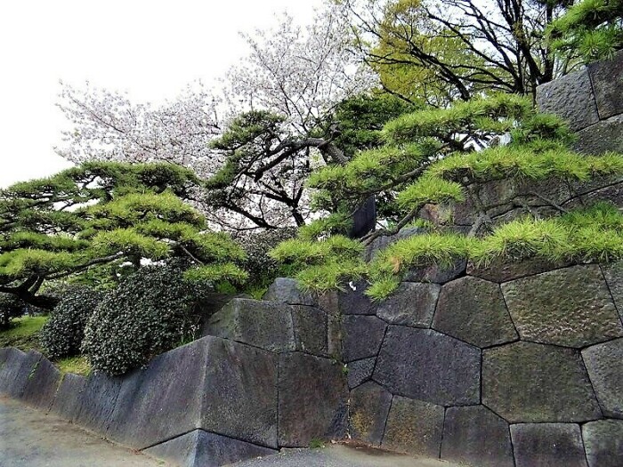 Полигональная кладка опорной стены на территории Императорского дворца (Токио, Япония). | Фото: tohokuandtokyo.org.