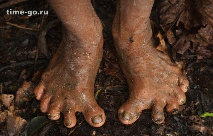 Фотограф провел 12 дней вместе с дикарями из амазонского племени. Его кадры шокируют… Фотограф провел 12 дней вместе с дикарями из амазонского племени. Его кадры шокируют…