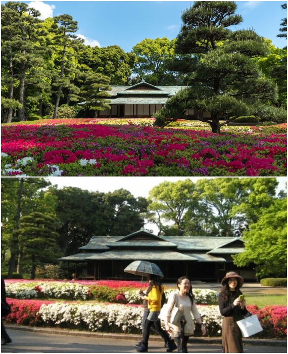 Парки и сады Дворцового замка японского императора открыты для публики (Япония, Токио).