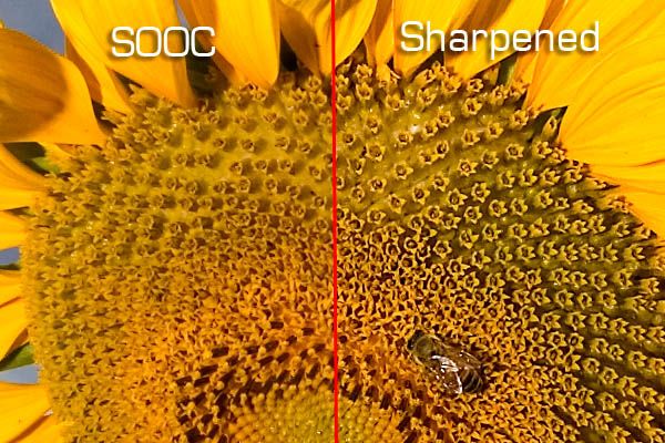 ФОТОЛИКБЕЗ. Как улучшить фокусировку и резкость на фото