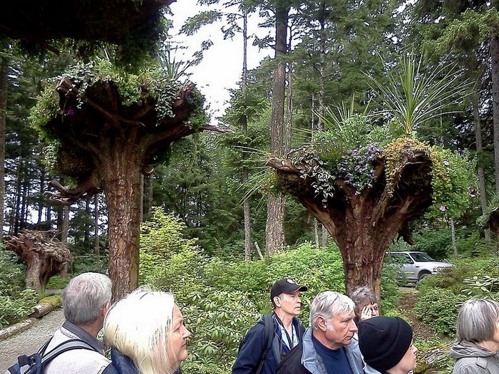 Ботанический сад Glacier Gardens на Аляске Ботанический сад Glacier Gardens на Аляске
