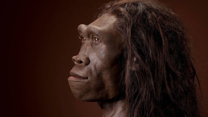Homo erectus жили на Земле около миллиона лет, в 10 раз больше, чем мы, но так и не создали ни культуры, ни сложных орудий труда Homo erectus жили на Земле около миллиона лет, в 10 раз больше, чем мы, но так и не создали ни культуры, ни сложных орудий труда древние люди, история, факты, человечество