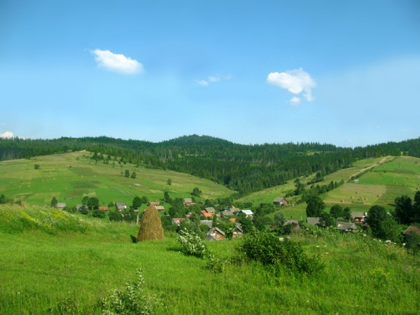 Раскрываю карты