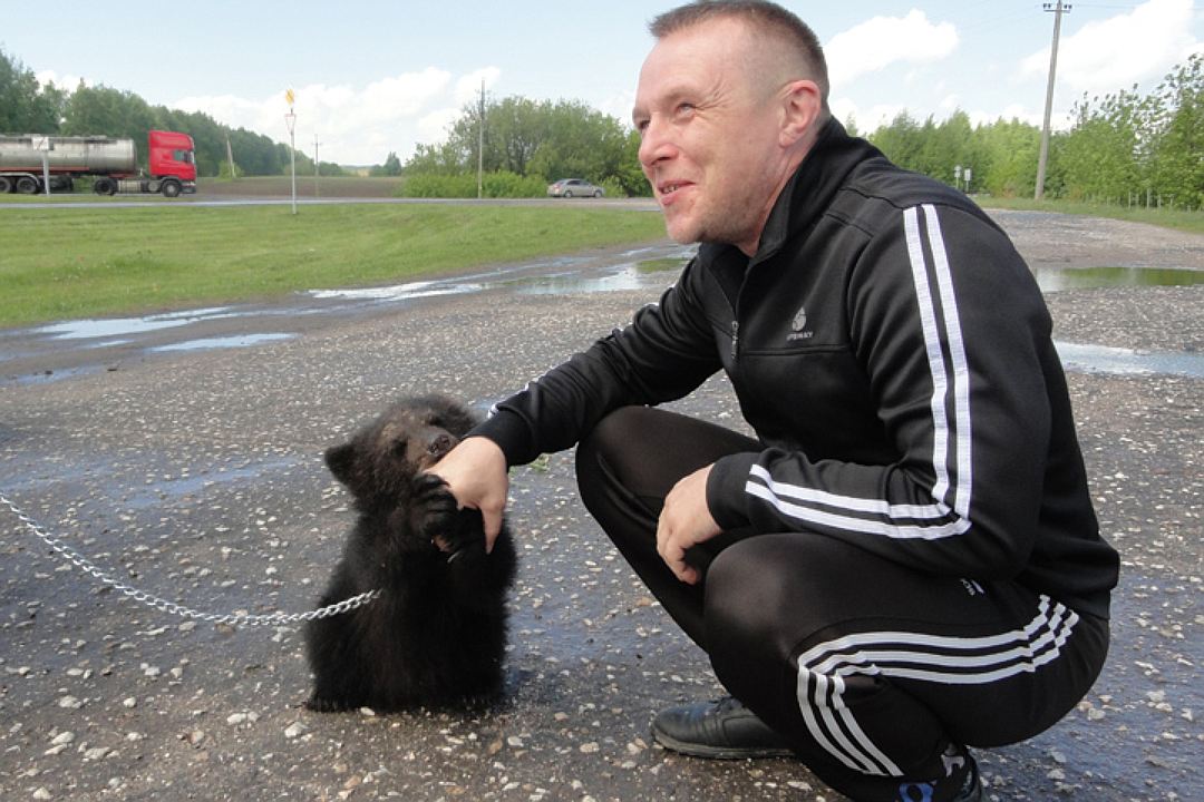 Двух измученных медведей спасли из частного зоопарка в Сергаче Фото: Алексей КАЗАКОВЦЕВ