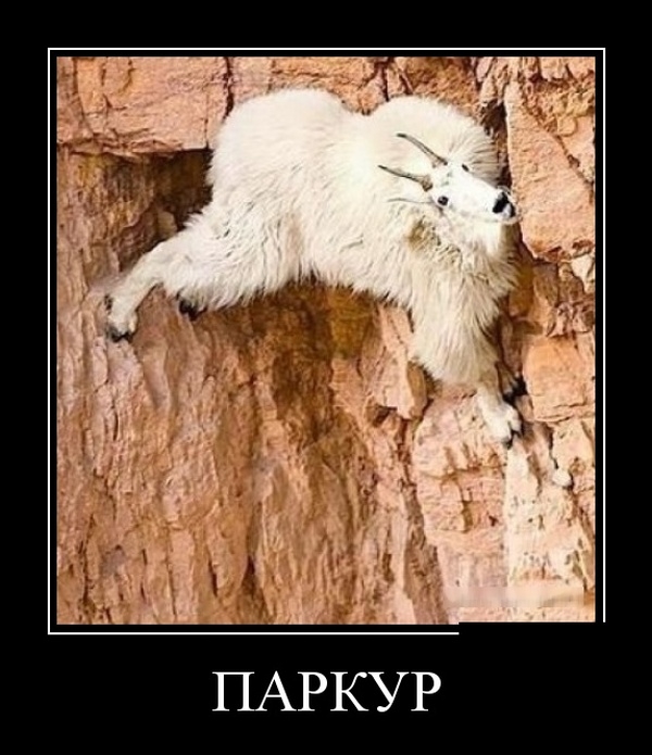 Демотиваторы Демотиваторы